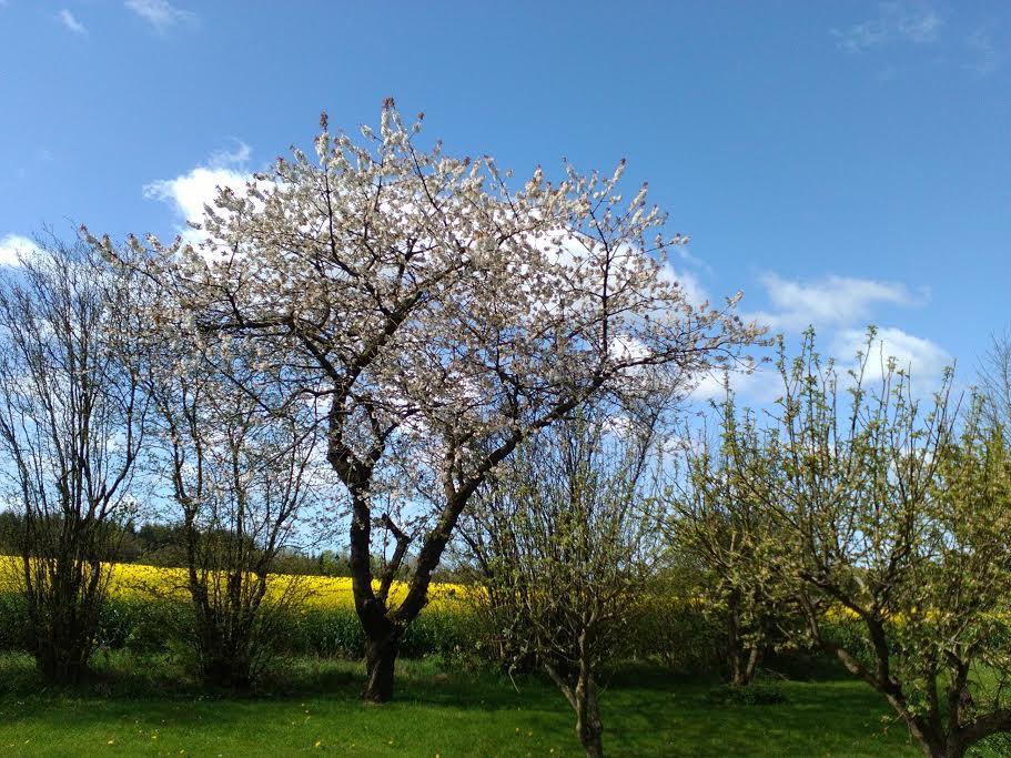 Seng Og Kaffe B&B Fårvang Dış mekan fotoğraf
